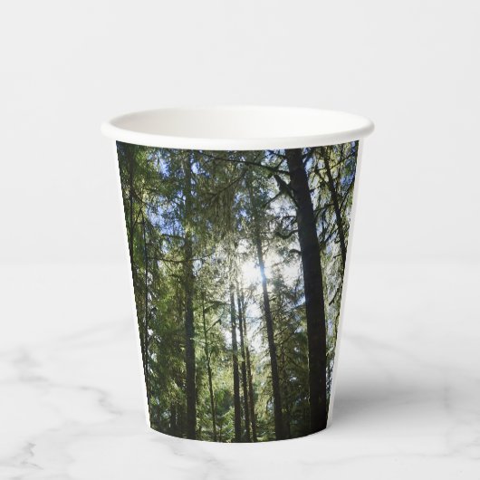 Sonnenlicht durch Kiefern Pappbecher (Vorderseite)