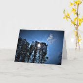 Sonnenlicht durch Pinienbäume, Karte (Gelbe Blume)
