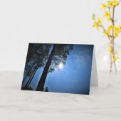 Sonnenlicht durch Pinienbäume, Karte (Gelbe Blume)