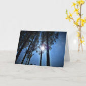 Sonnenlicht durch Pinienbäume, Karte (Gelbe Blume)