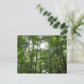 Sonnenlicht durch Regenwaldkanopie tropisches Grün (Stehend Vorderseite)