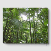 Sonnenlicht durch Regenwaldkanopie tropisches Grün Gästebuch (Rückseite)