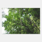 Sonnenlicht durch Regenwaldkanopie tropisches Grün Geschenkpapier Set (Vorderseite 3)