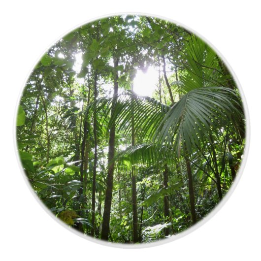 Sonnenlicht durch Regenwaldkanopie tropisches Grün Keramikknauf (Vorderseite)