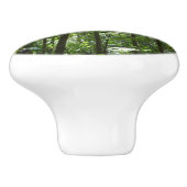 Sonnenlicht durch Regenwaldkanopie tropisches Grün Keramikknauf (Seitenansicht)