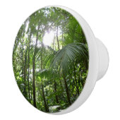 Sonnenlicht durch Regenwaldkanopie tropisches Grün Keramikknauf (Rechts)