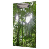 Sonnenlicht durch Regenwaldkanopie tropisches Grün Klemmbrett (Links)