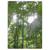 Sonnenlicht durch Regenwaldkanopie tropisches Grün Klemmbrett (Rückseite)