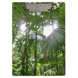 Sonnenlicht durch Regenwaldkanopie tropisches Grün Klemmbrett