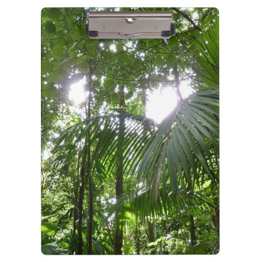 Sonnenlicht durch Regenwaldkanopie tropisches Grün Klemmbrett (Vorderseite)