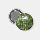 Sonnenlicht durch Regenwaldkanopie tropisches Grün Magnet (Vorderseite/Rückseite)