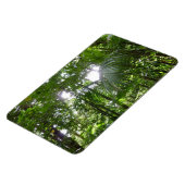 Sonnenlicht durch Regenwaldkanopie tropisches Grün Magnet (Linke Seite)
