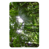 Sonnenlicht durch Regenwaldkanopie tropisches Grün Magnet (Vertikal)
