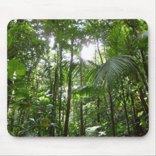 Sonnenlicht durch Regenwaldkanopie tropisches Grün Mousepad