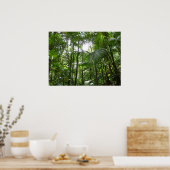 Sonnenlicht durch Regenwaldkanopie tropisches Grün Poster (Küche)