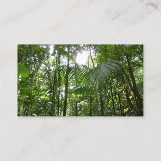 Sonnenlicht durch Regenwaldkanopie tropisches Grün Visitenkarte (Rückseite)