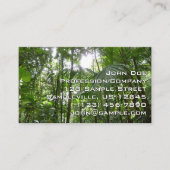 Sonnenlicht durch Regenwaldkanopie tropisches Grün Visitenkarte (Vorderseite)