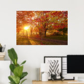 Sonnenlicht durch verfallene Ahornbäume Poster (Heimbüro)