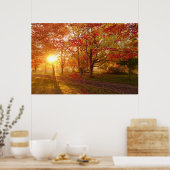 Sonnenlicht durch verfallene Ahornbäume Poster (Küche)