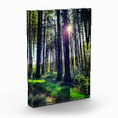 Sonnenlicht durch Waldbäume Fotoblock (Links)