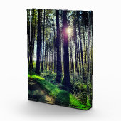 Sonnenlicht durch Waldbäume Fotoblock (Rechts)