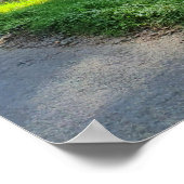 Sonnenlicht durch Waldbäume Poster (Ecke)