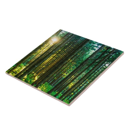 Sonnenlicht durch Wälder Fliese (Seite)