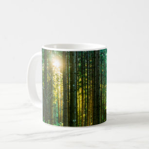 Sonnenlicht durch Wälder Kaffeetasse