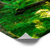 Sonnenlicht durch Wälder Poster (Ecke)