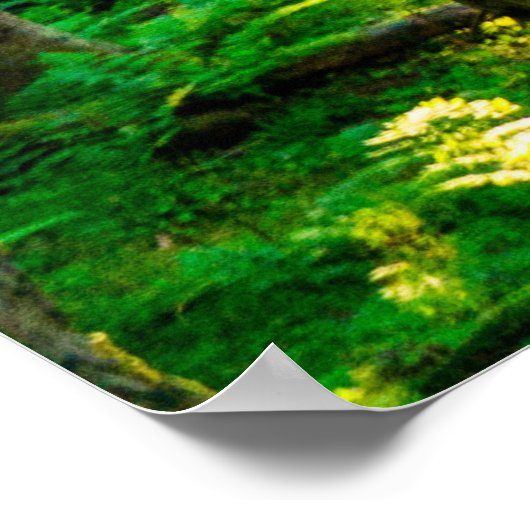 Sonnenlicht durch Wälder Poster (Ecke)