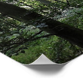 Sonnenlicht im Wald Poster (Ecke)