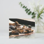 Sonnenlicht in San Francisco (Stehend Vorderseite)