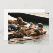 Sonnenlicht in San Francisco (Vorne/Hinten)