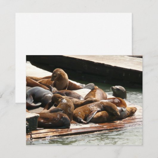 Sonnenlicht in San Francisco (Vorne/Hinten)