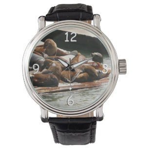 Sonnenlicht in San Francisco Armbanduhr