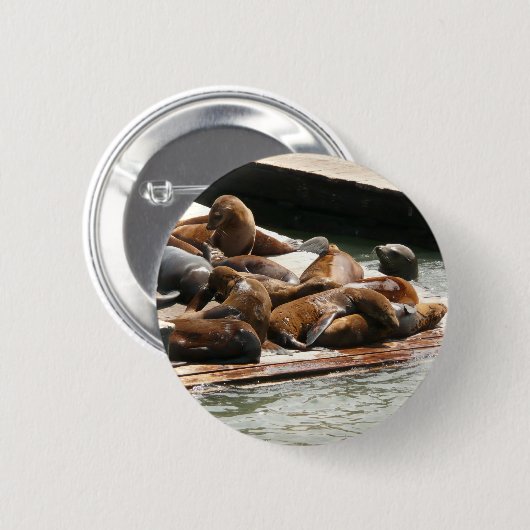 Sonnenlicht in San Francisco Button (Vorne & Hinten)