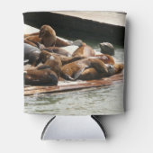 Sonnenlicht in San Francisco Dosenkühler (Vorderseite)