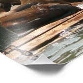 Sonnenlicht in San Francisco Fotodruck (Ecke)