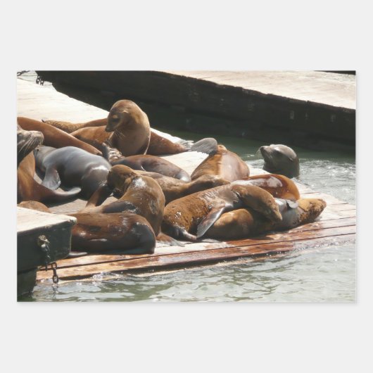 Sonnenlicht in San Francisco Geschenkpapier Set (Vorderseite 2)