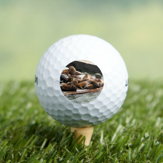 Sonnenlicht in San Francisco Golfball (Insitu T-Shirt)