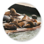 Sonnenlicht in San Francisco Keramikknauf (Vorderseite)