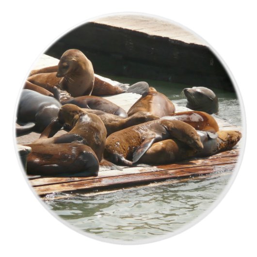 Sonnenlicht in San Francisco Keramikknauf (Vorderseite)