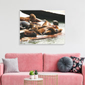 Sonnenlicht in San Francisco Leinwanddruck (Insitu (Wohnzimmer))