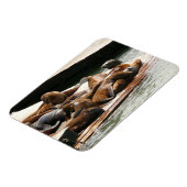 Sonnenlicht in San Francisco Magnet (Linke Seite)