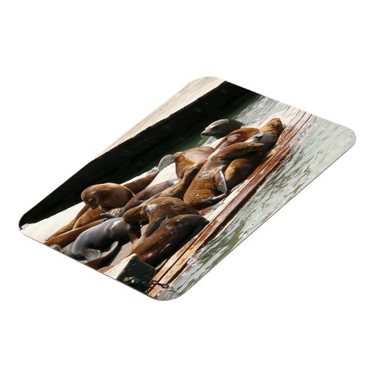 Sonnenlicht in San Francisco Magnet (Linke Seite)