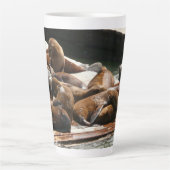 Sonnenlicht in San Francisco Milchtasse (Vorderseite)