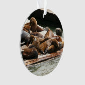 Sonnenlicht in San Francisco Ornament (Vorderseite)