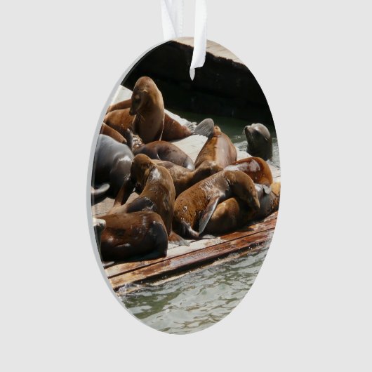 Sonnenlicht in San Francisco Ornament (Vorderseite)