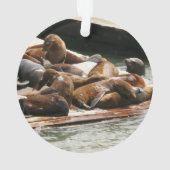 Sonnenlicht in San Francisco Ornament (Rückseite)