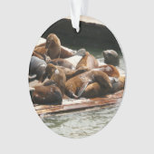 Sonnenlicht in San Francisco Ornament (Vorderseite)